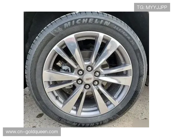 轮胎规格变化:更窄设计旨在提高比赛竞争性 轮胎规格变化:更窄设计旨在提高比赛竞争性