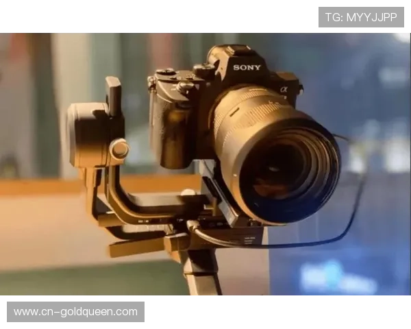 制作理念从单一信号转向多视角叙事，满足观众个性化选择。