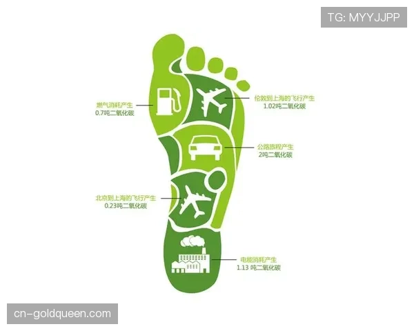 德甲测试新型可降解草皮，旨在减少碳足迹与水资源消耗